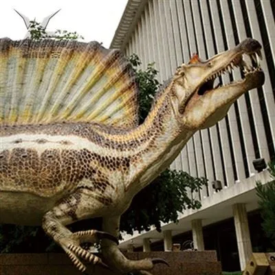 Irritatore cretaceo animatronico